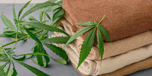 Fibras de Cânhamo: A Revolução Sustentável na Indústria Têxtil