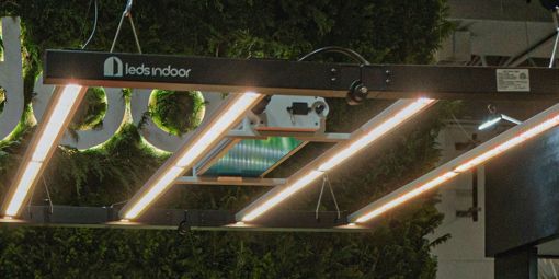 Loja de Cultivo Indoor em São Paulo