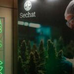 Medical Cannabis Fair 2025: Leds Indoor participa da principal feira do setor canábico medicinal no Brasil